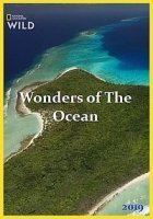 Чудеса океана/Wonders of The Ocean