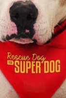 От бездомной собаки до супер-пса/Rescue dog to super dog