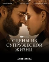 Сцены из супружеской жизни/Scenes from a Marriage