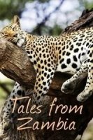 Сказочная Замбия/Tales from Zambia 2 сезон