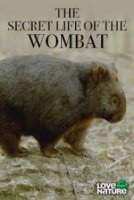Тайная жизнь вомбата/Secret Life of the Wombat