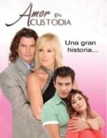 Телохранитель (арг.)/Amor en custodia