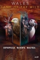 Уэльс: дикая земля/Wales: The Land of the Wild