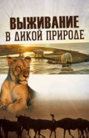 Выживание в дикой природе/Wild Survival