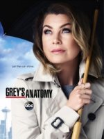 Анатомия страсти/Greys Anatomy 14 сезон
