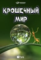 Крошечный мир/Tiny World 1 сезон