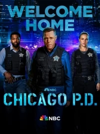 Полиция Чикаго/Chicago PD 11 сезон