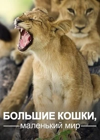 Большие кошки, маленький мир/Big Cats, Small World