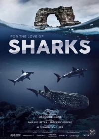 Акулы. Признание в любви/For the Love of Sharks