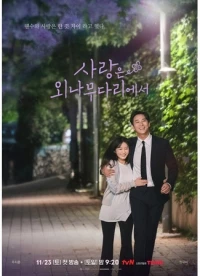 Любовь на узком мостике/Sarangeun Oenamudarieseo