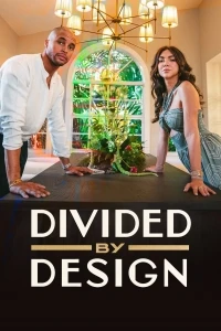 Пока дизайн не разлучит нас/Divided by Design