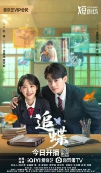 В погоне за бабочкой/Chasing Butterfly