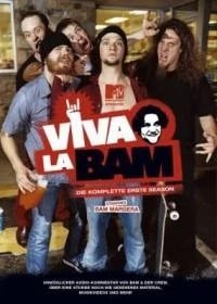 Вива ля Бэм/Viva la Bam 3 сезон