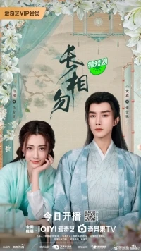 Бесконечно скучаю по тебе/Miss You Forever