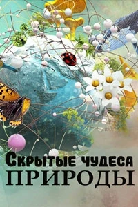 Скрытые чудеса природы/Nature's Hidden Miracles
